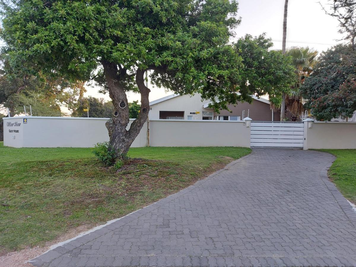 Walmer Manor Port Elizabeth Exteriör bild